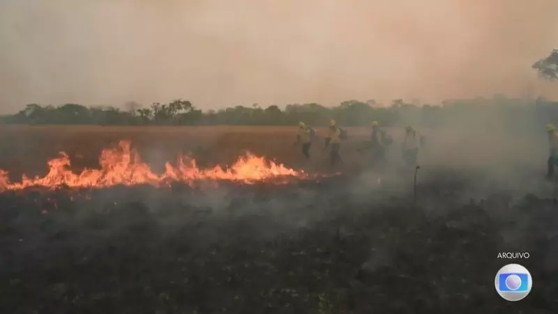 Alerta da ONU: Nova lei brasileira pode acelerar destruição da Amazônia — entenda os riscos