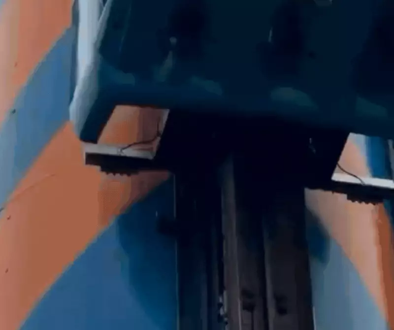 Aos 88 anos, idosa realiza sonho radical: pula de torre de queda livre no Beto Carrero e emociona a web