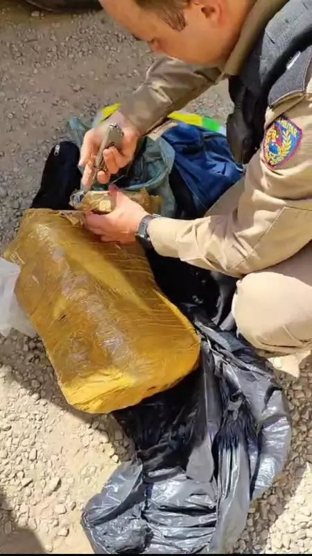 Apreensão Recorde em Ônibus: Homem Preso com 2 Mil Pinos de Cocaína em Além Paraíba