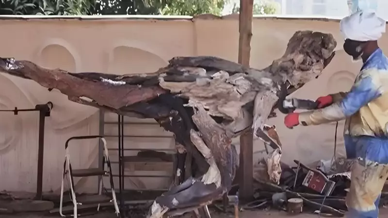 Arte que brota da terra: Artista nigeriano transforma raízes em esculturas culturais deslumbrantes