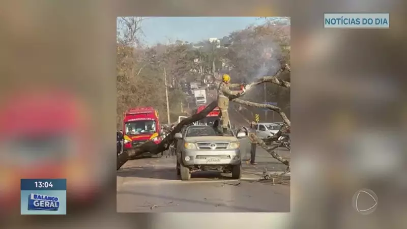 Árvore Desaba e Destrói Carro no Entorno do DF — Motorista Escapa Ileso por Milagre