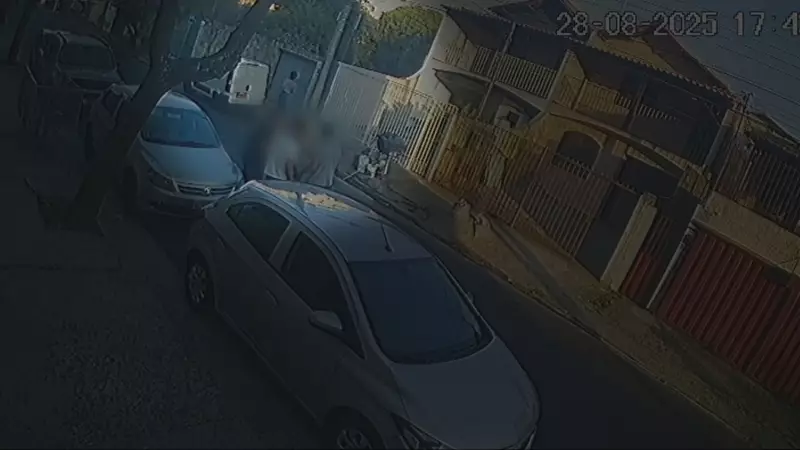 Assalto Ousado em MG: Dono de Furgão é Arrastado e Cai ao Tentar Impedir Furto em Cena Dramática