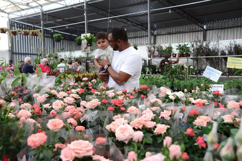 Atibaia: O Paraíso das Flores e Morangos que Encanta o Brasil! ????????