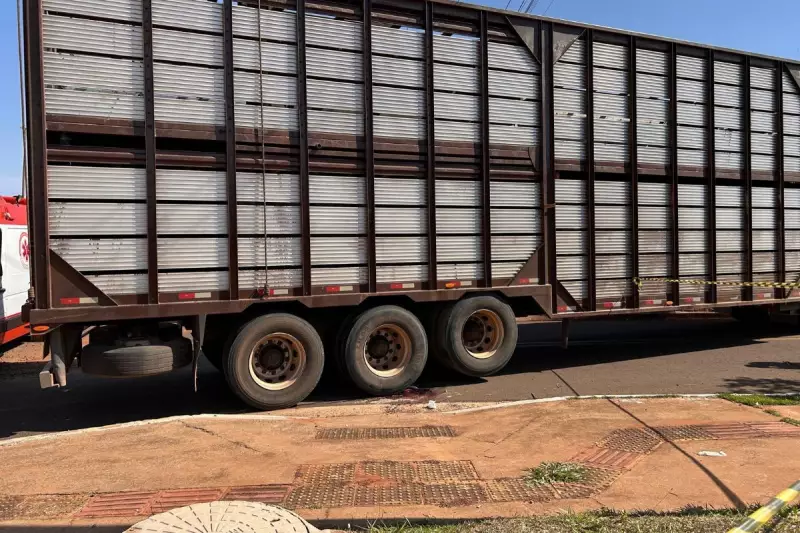 Atitude Heróica em MS: Passageira Salva ao Pular de Moto Antes de Tragédia com Caminhão