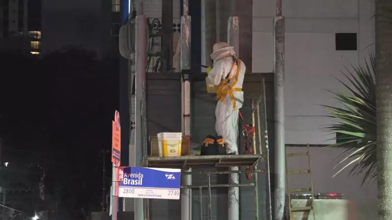 Avenida em Balneário Camboriú Fechada em Operação de Emergência para Retirada de 50 Mil Abelhas | ND Mais
