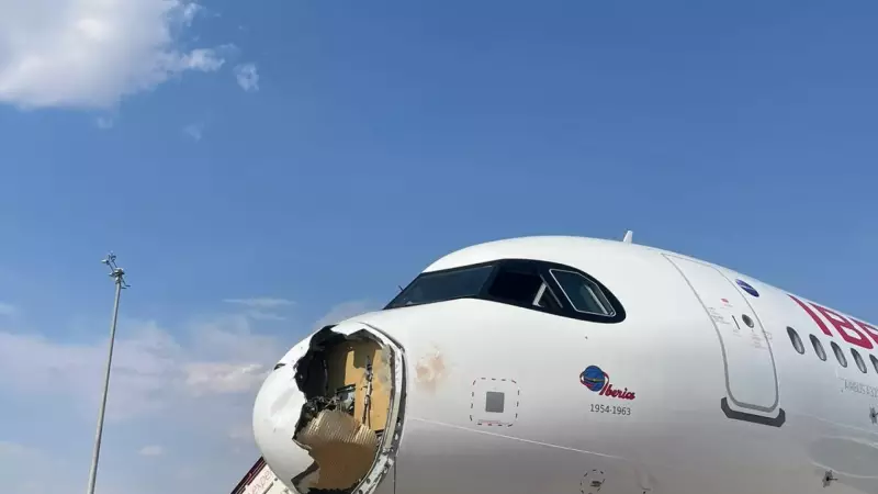 Avião faz pouso de emergência em Madrid após colisão com pássaro — passageiros em choque!