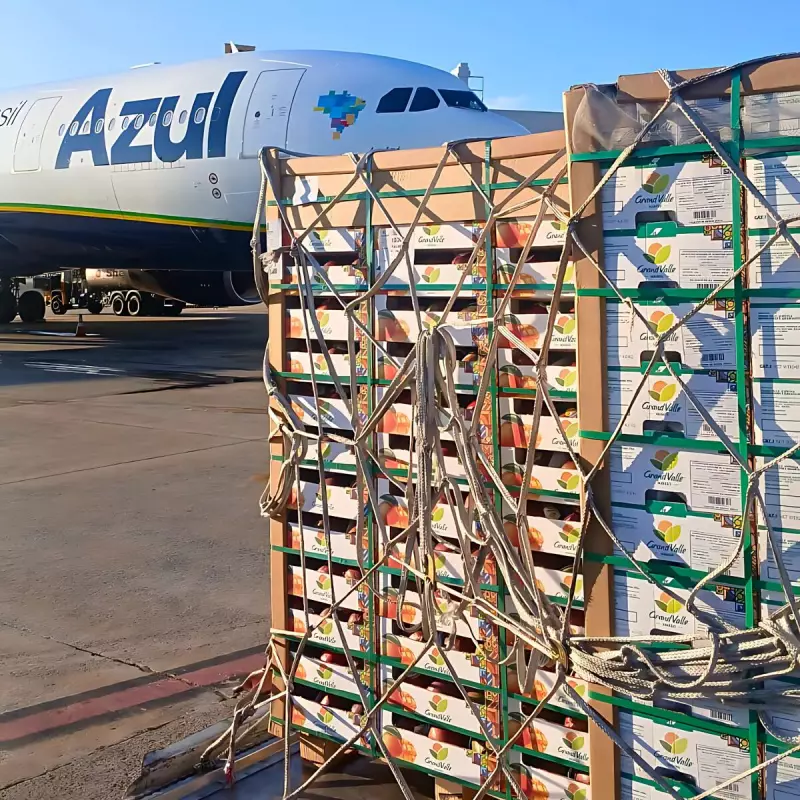 Azul Fidelidade e Azul Cargo Express se unem em parceria inédita com desconto exclusivo para clientes