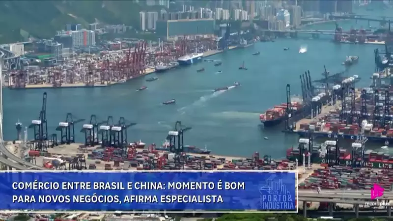 Brasil e China: Oportunidades de Ouro no Comércio Exterior que Você Não Pode Ignorar