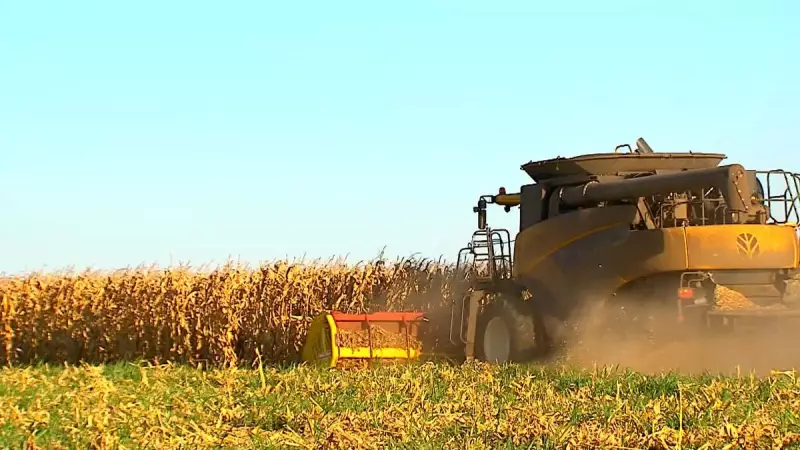 Brasil e México fecham acordo histórico: vantagens logísticas e alta absorção de produtos