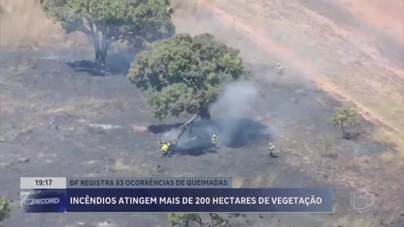 Brasília em Chamas: Incêndio Devasta Mais de 200 Hectares de Cerrado e Mobiliza Corpo de Bombeiros