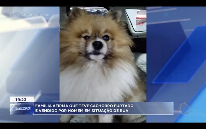 Cachorro é furtado e vendido por homem em situação de rua — família desesperada busca justiça