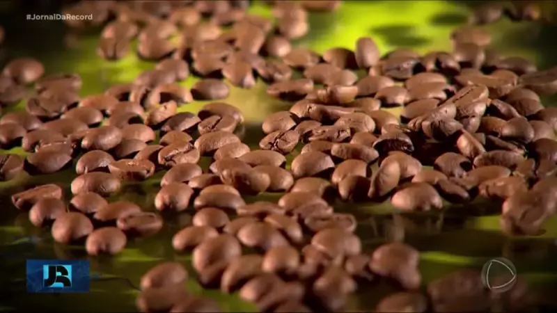 Café em Crise: Produtores Buscam Soluções Criativas para Enfrentar Tarifas dos EUA