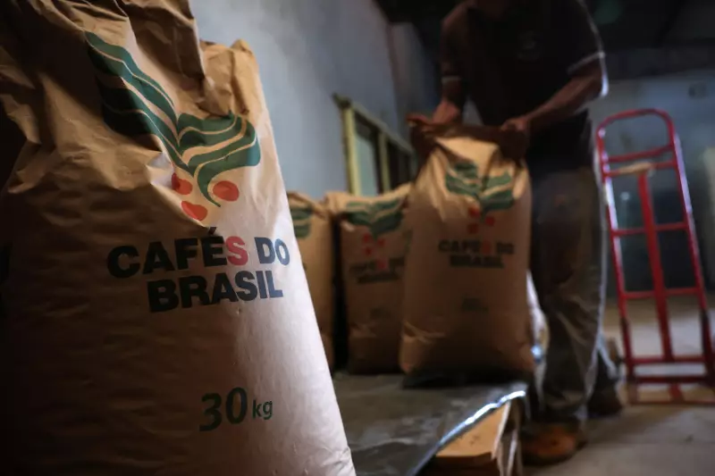 Café resistente à tarifa: estoque agora para exportar só em 2026 e evitar prejuízos