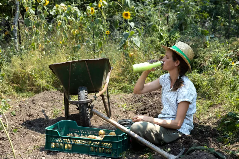 Calor Extremo no Trabalho: ONU Revela 19 Mil Mortes Anuais e Alerta para Tragédia Silenciosa