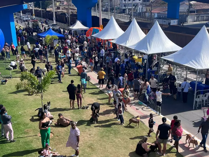 Caminhada do Amicão em Barra Mansa: diversão garantida para famílias e pets no fim de semana