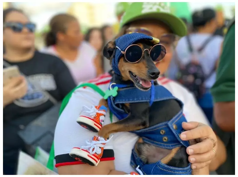 Cãominhada Mirante FM 2025: evento pet no Parque do Rangedor promete agitar São Luís