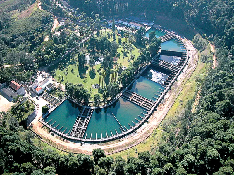 Carteira de Ações de Agosto: Renner, Petrobras e Sabesp Brilham nas Recomendações