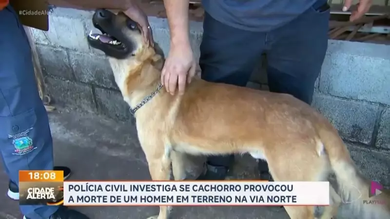 Caso macabro em Ribeirão Preto: Polícia investiga se cachorro devorou parte do corpo de homem morto