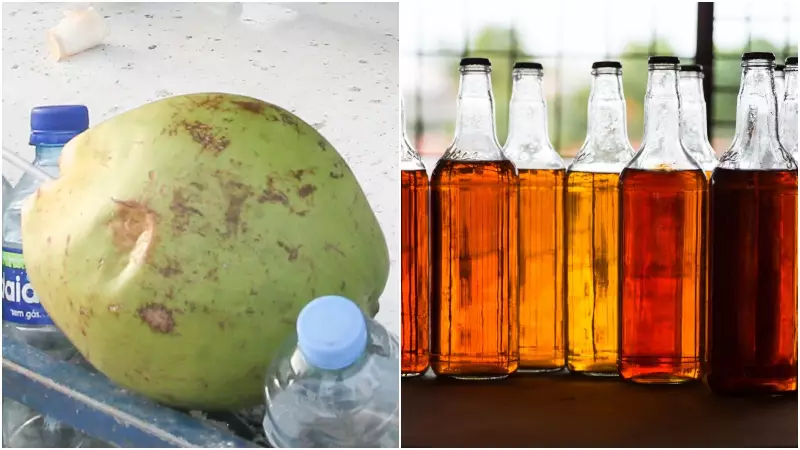 Ceará Reage a Tarifa dos EUA com Compra Massiva de Água de Coco e Cajuína