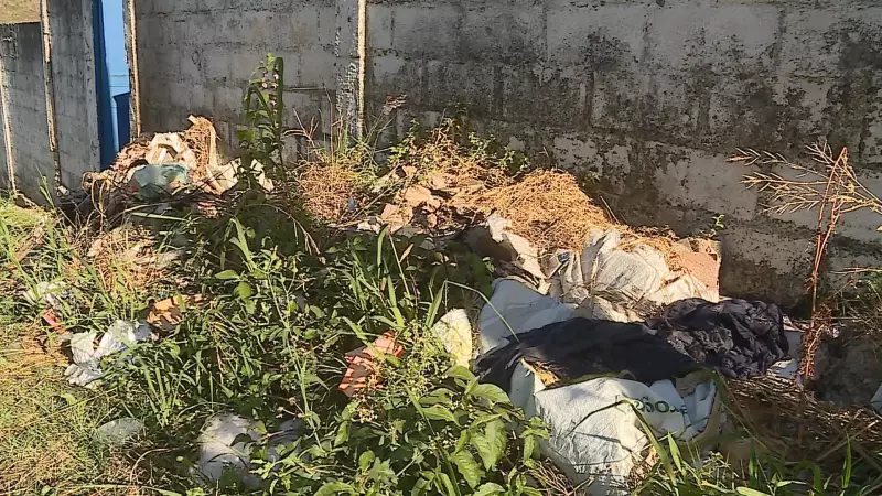 Cemitério de Santos Dumonte em estado de horror: túmulos violados, caixões à vista e larvas em decomposição
