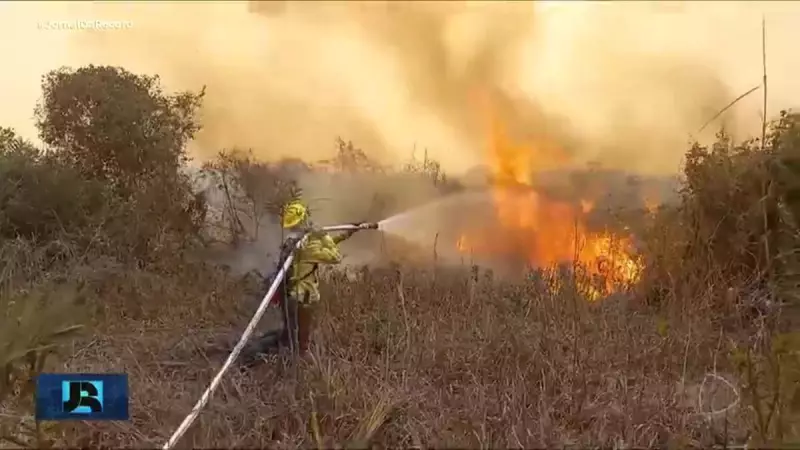 Cerrado respira alívio: desmatamento cai pela primeira vez desde 2019 no Brasil