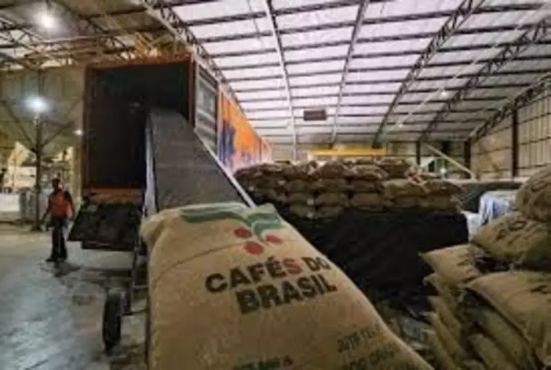 China mira o café brasileiro que antes ia para os EUA — e isso pode mudar o jogo