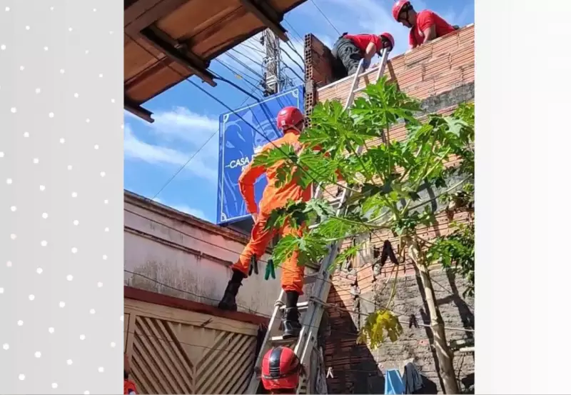 Choque elétrico em telhado de açougue: homem escapa por pouco de tragédia no Tocantins