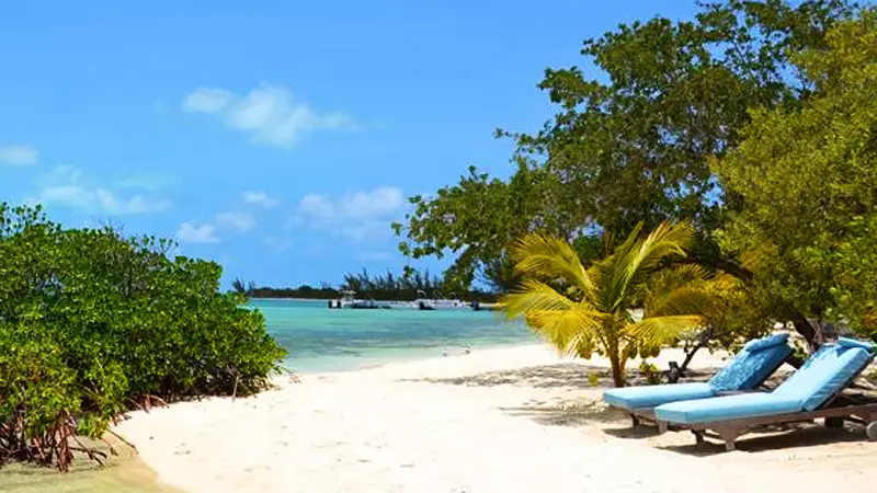 Como os bilionários estão blindando suas fortunas com trusts nas Bahamas e holdings
