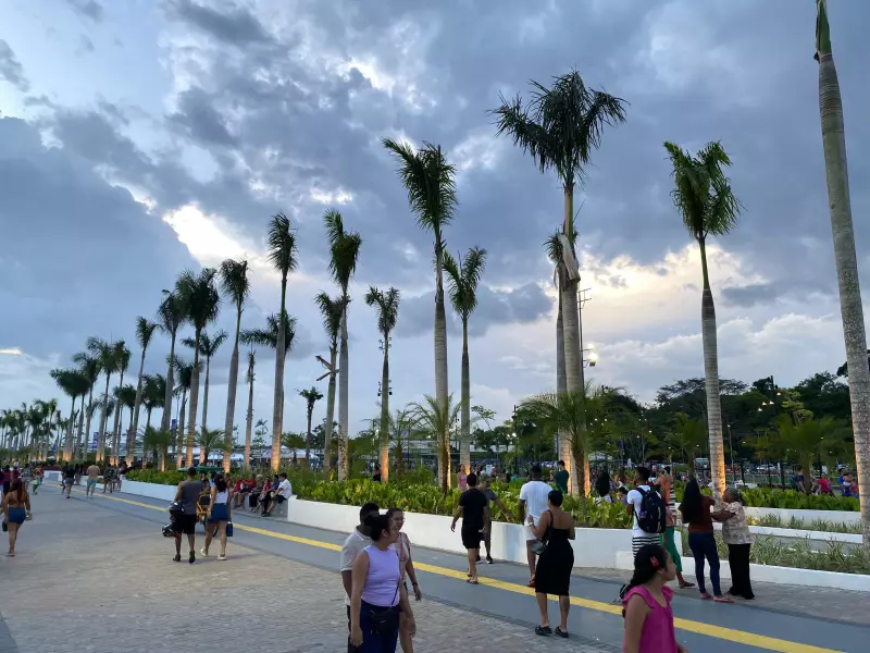 COP30 Belém: Salário de R$ 38,4 MIL para Consultor de Voluntariado — Saiba Como se Candidatar