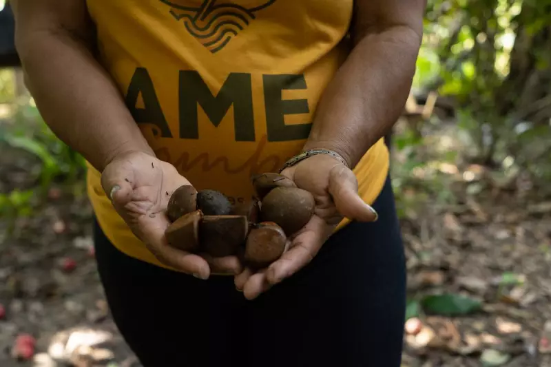 COP30 na Amazônia: Como Cada Brasileiro Pode Ser um Herói do Planeta