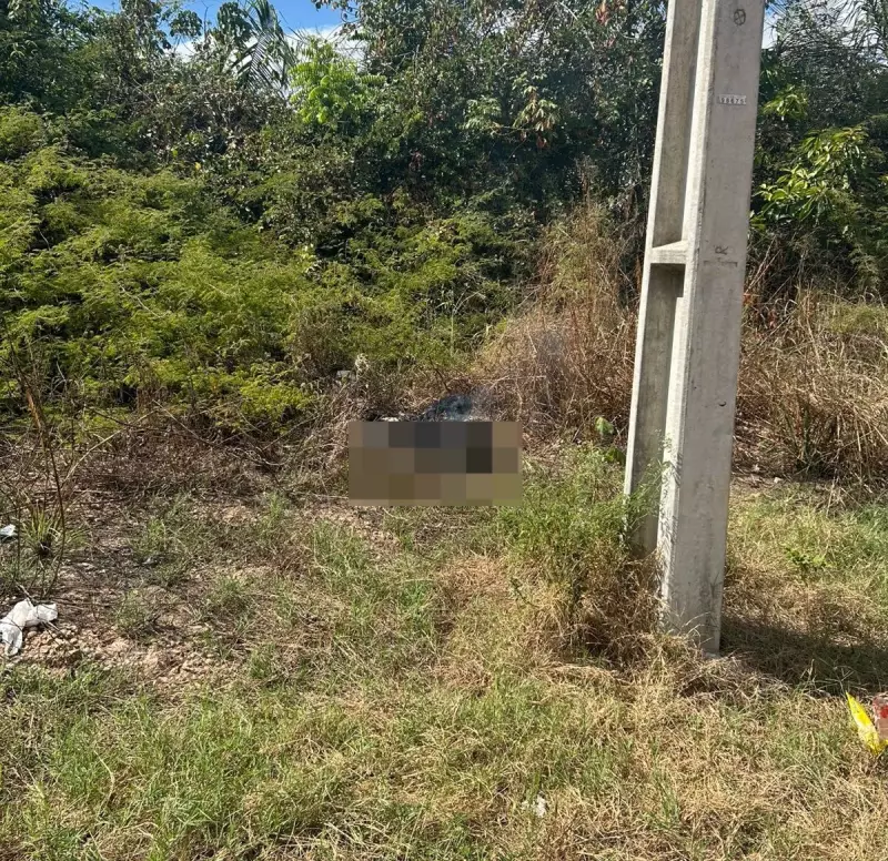 Corpo carbonizado é encontrado em Teresina: Polícia Civil investiga possível crime