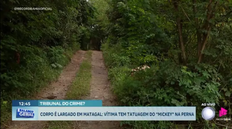 Corpo com tatuagem do Mickey é descoberto em matagal na Bahia — Mistério choca moradores
