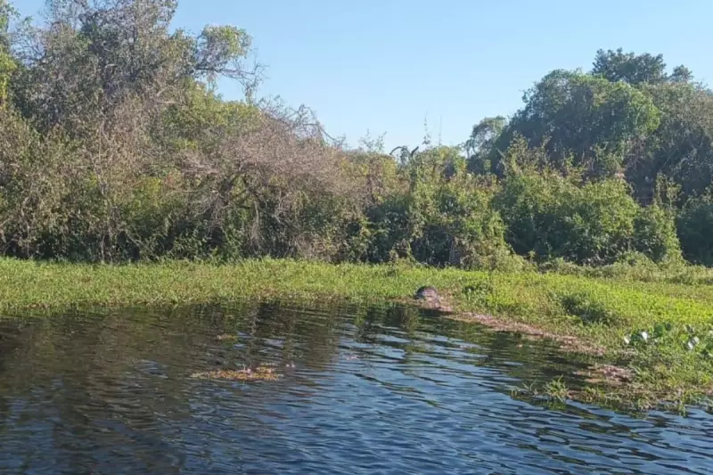Corpo de homem é encontrado em rio do Pantanal de MS: veja detalhes