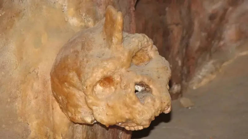 Crânio Grego Enigmático: Nova Espécie Humana Extinta Pode Ter Sido Descoberta