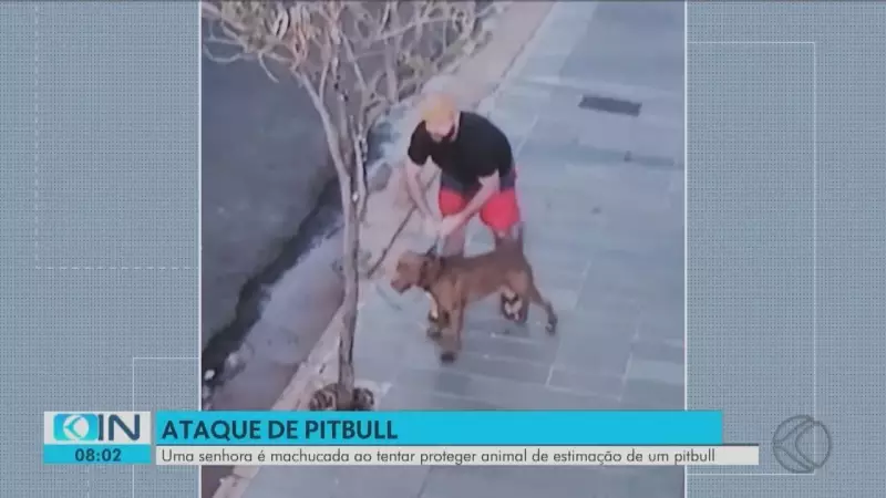 Criança de 3 anos sofre ataque brutal de pitbull em MG — tutor esqueceu portão aberto