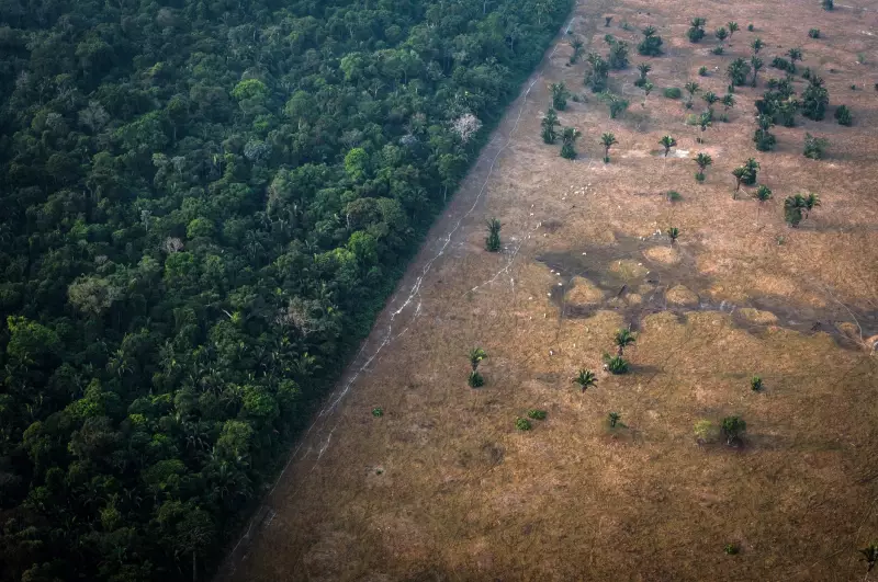 Decreto que reduz Reserva Legal no AM é inconstitucional, alertam juristas