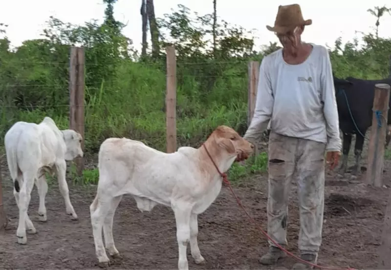 Desaparecimento de idoso no Tocantins completa 1 ano: família exige respostas das autoridades