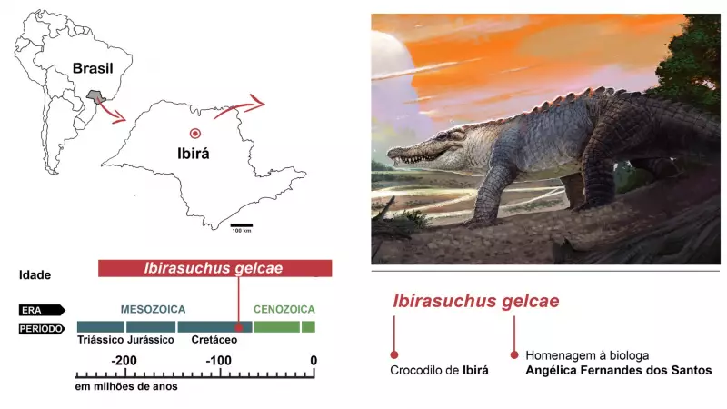 Descoberta impressionante: 4 espécies de crocodilos conviveram no interior de SP há 85 milhões de anos