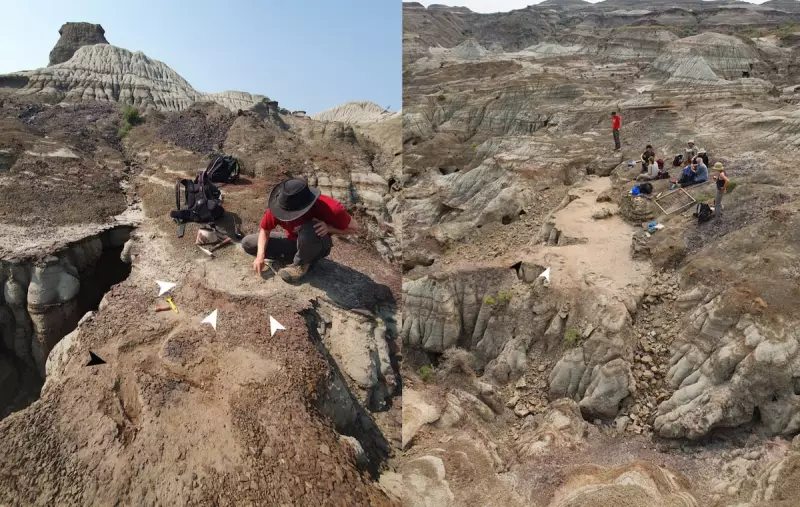 Descoberta revolucionária: Dinossauros pastavam como ovelhas no Canadá há milhões de anos