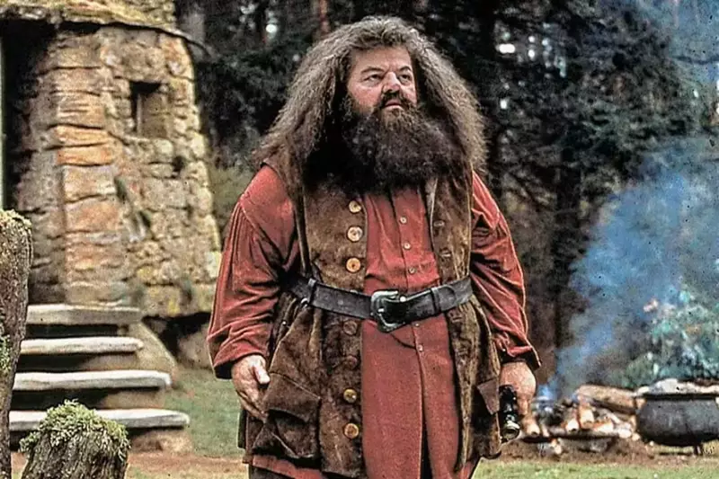 Diretor de Harry Potter Solta Farpa Picante Sobre Nova Série da HBO: 'Não Entendo a Necessidade'