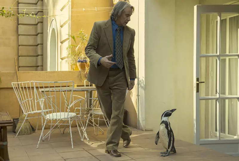 Dois Pinguins, Dois Filmes: Como a Mesma Espécie Inspirou Narrativas Opostas no Cinema