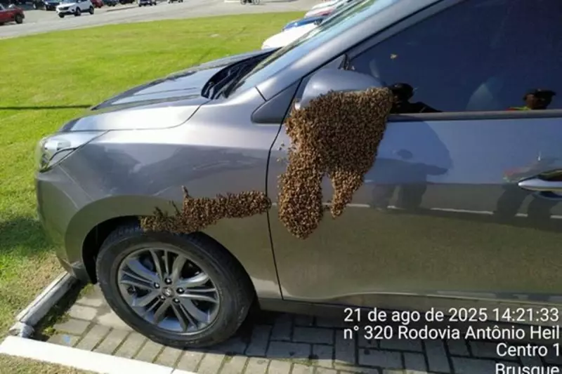 Enxame de Abelhas Pega 'Carona' em Carro e Aterroriza Motorista em SC — Veja o Vídeo!