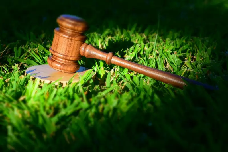 Escritório capixaba inova ao adotar ESG no mercado jurídico: sustentabilidade como estratégia