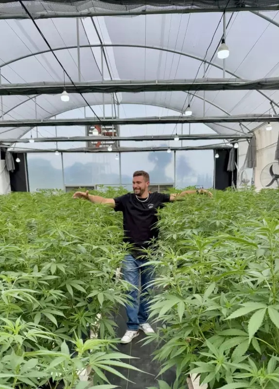 Especialista Revela Técnicas de Cultivo de Cannabis em Feira de São Paulo — Um Guia Inusitado