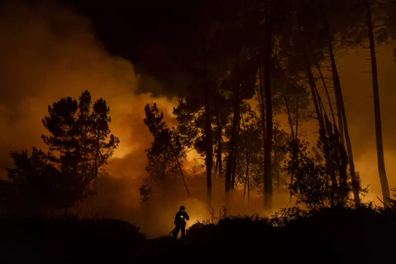 Europa em Chamas: Temporada de Incêndios de 2024 Bate Recorde Histórico e Alerta o Mundo