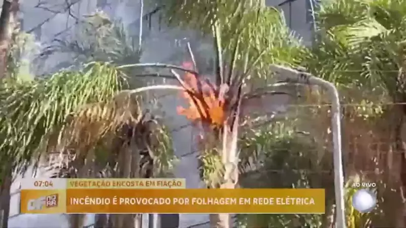 Explosão de poste elétrico na Asa Norte: folhas de coqueiro causam incidente assustador