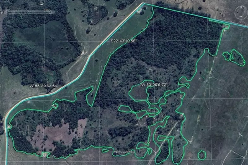 Fazenda em MS na mira da lei: mais de 15 hectares de Mata Atlântica derrubados ilegalmente