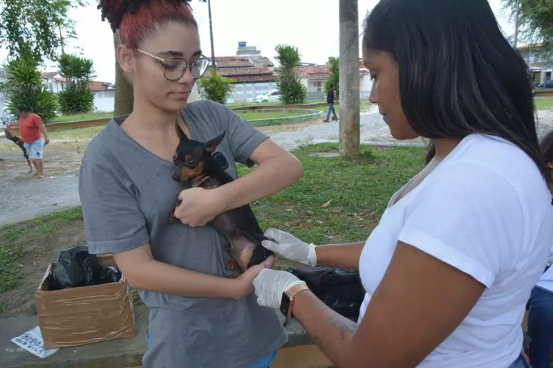 Feira de Santana inicia vacinação antirrábica para cães e gatos: saiba onde levar seu pet