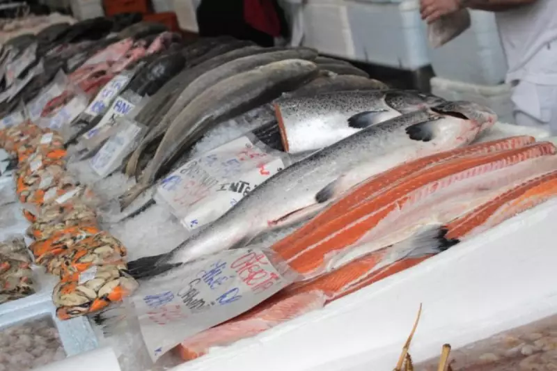 Festival do Salmão em Santos: Sabor e Economia na Baixada Santista até 7 de Setembro