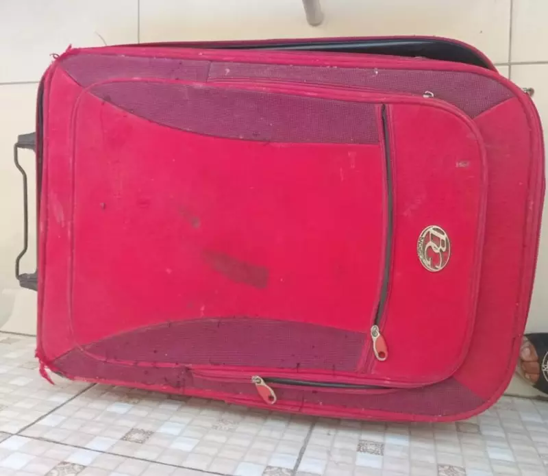 Filho estrangula cachorro da própria mãe e deixa corpo em mala na porta de casa — caso choca Sergipe